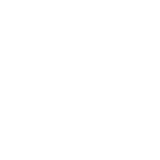 Survey icon